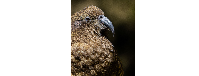 Natureland Wildlife Trust