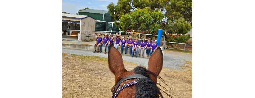 Riding for the Disabled Association SA Inc