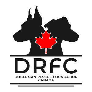 Doberman Rescue Foundation Canada Logo