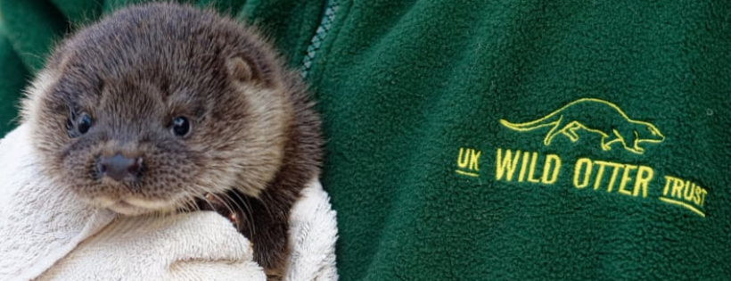 UK WILD OTTER TRUST