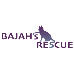 Bajah's Rescue Logo