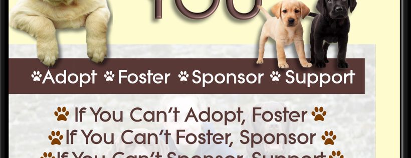 Labradors in Need