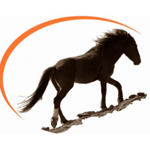 Wild Horse Connection Logo