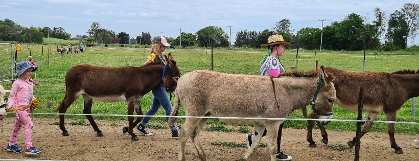 Donkey Welfare with Heart Inc