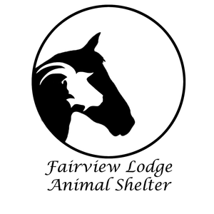 Fairview Lodge Animal Shelter