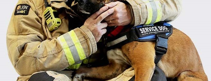 Paws for Life K9 Rescue