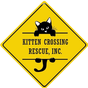 Kitten Crossing Rescue Inc.