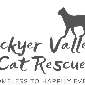 Lockyer Valley Cat Rescue Inc