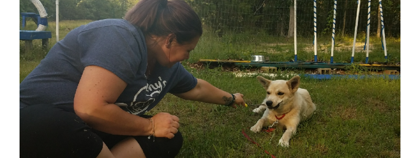 Kimmys Safe Haven Rescue