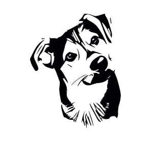 Fetcher Dog