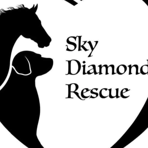 Sky Diamond Rescue Logo