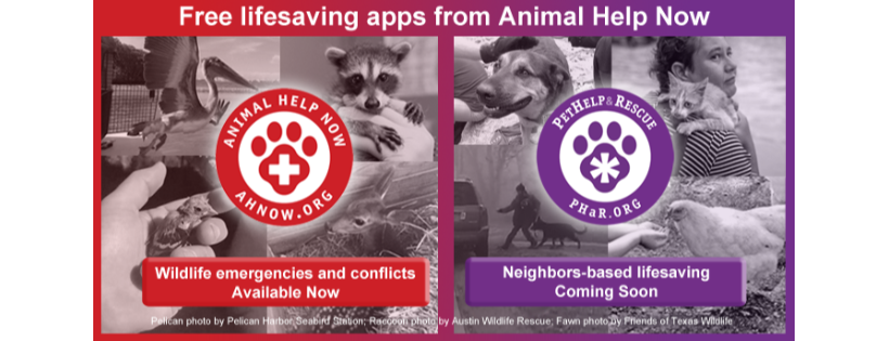 Animal Help Now