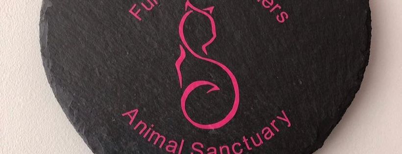 Fur and feathers animal sanctuary