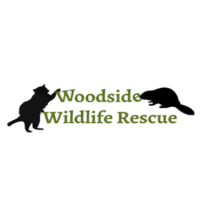Woodside Wildlife Rescue Logo