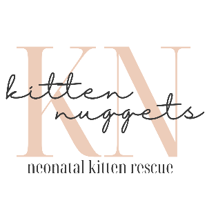 Kitten Nuggets