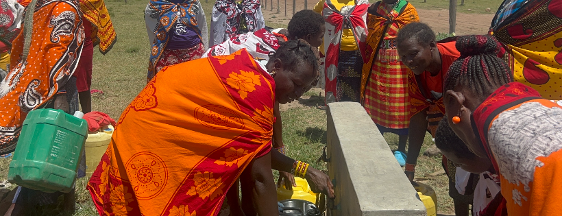 OliveSeed Foundation