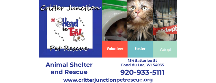 Critter Junction Pet Rescue