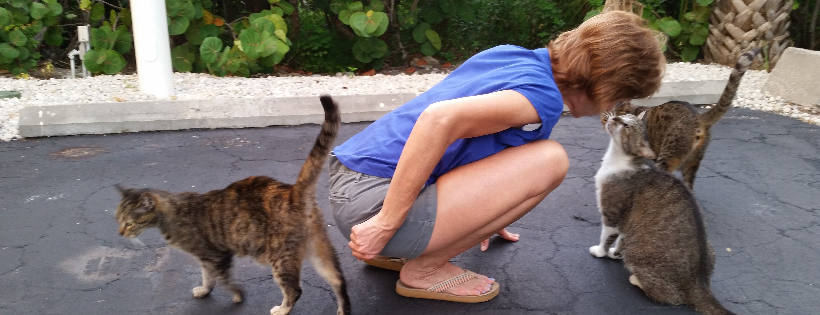 For the Love of Cats, Inc.