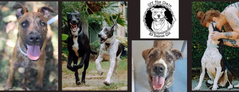 Off The Chain K9 Rescue Qld