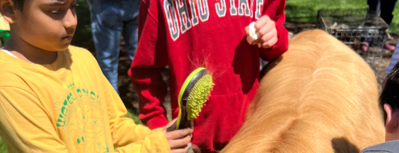 Benton Family Farm