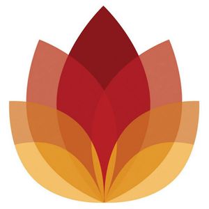 Lotus Outreach Australia