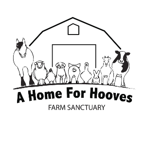 A Home for Hooves Farm Sanctuary Foundation