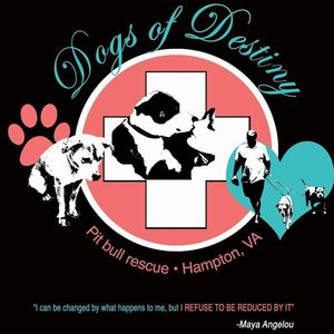 dogs of destiny Logo
