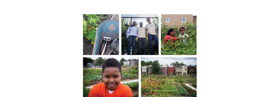 Common Good City Farm
