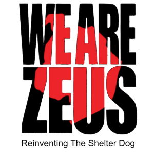We Are Zeus, Inc Logo
