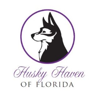 husky haven of florida Logo