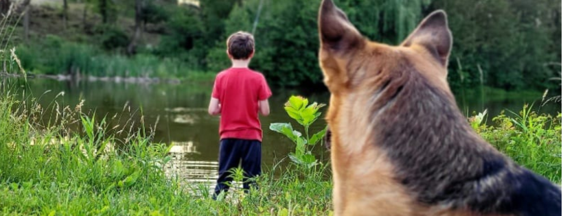 Woody's Place ~ Senior German Shepherd Sanctuary