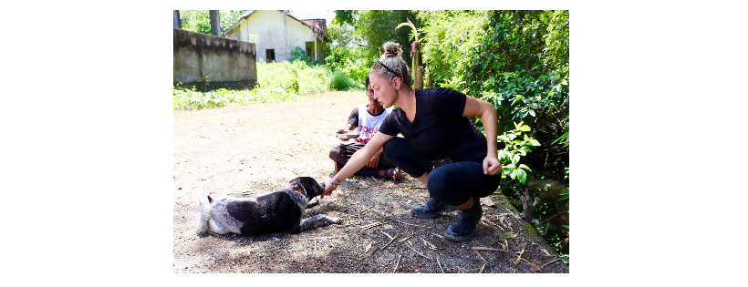 Pink Paw Program