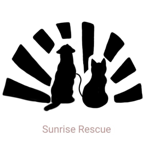 Sunrise Rescue