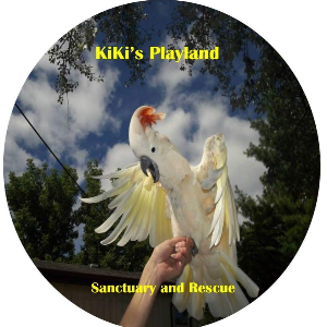 Kiki's playland parrot sanctuary and rescue