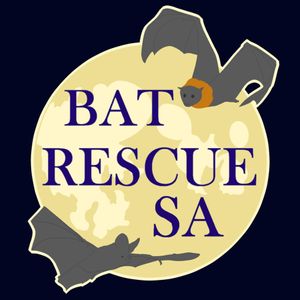 Bat Rescue South Australia - Adelaide Bat Chat Logo
