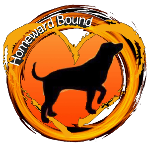 Homeward Bound Logo