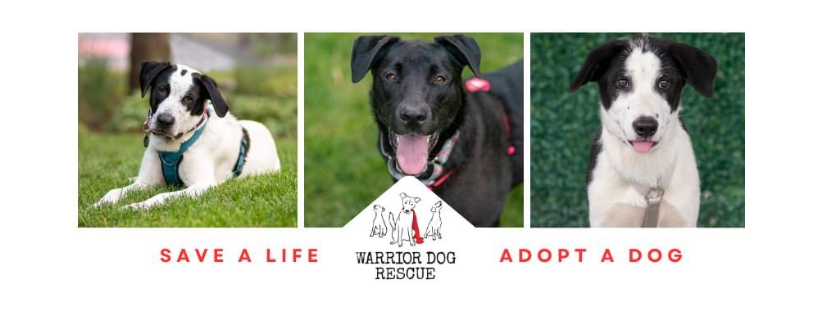Warrior Dog Rescue