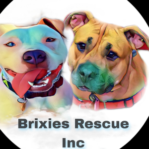 BRIXIES RESCUE INC