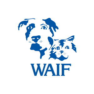Whidbey Animals' Improvement Foundation (WAIF) Logo