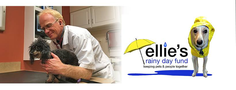 ELLIE'S RAINY DAY FUND, INC.