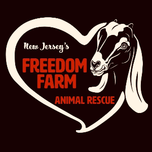 New Jersey’s Freedom Farm Animal Rescue Inc