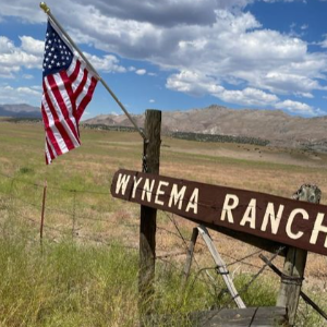 Wynema Ranch Wild Horse  Sanctuary Logo
