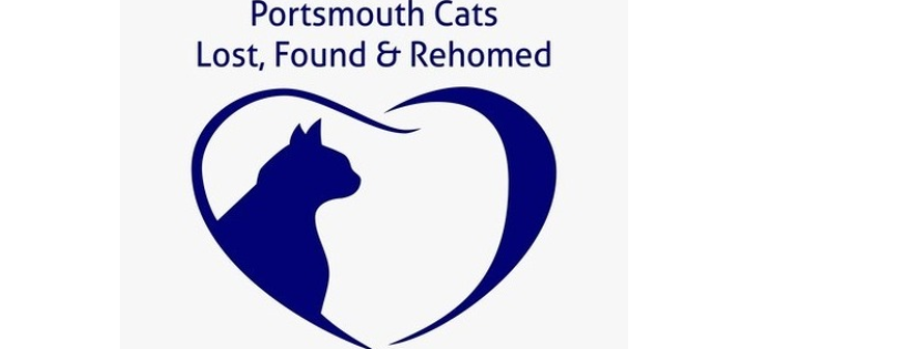 Portsmouth Cats Lost, Found & Rehomed