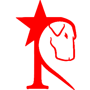 Rockstar Rescue Logo