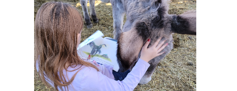 Wild Horse Haven Rescue