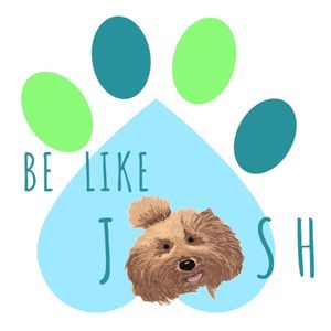 Be Like Josh Logo
