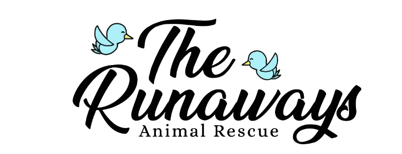 Runaways Animal Rescue