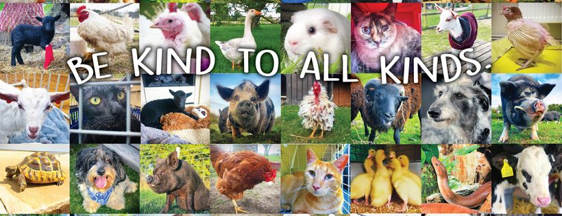 The Happy Pants Ranch animal & rescue sanctuary