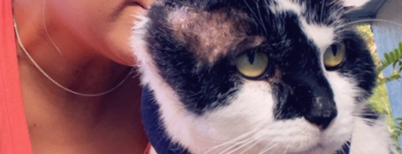 Love n light furever