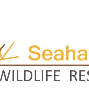 Seahaven wildlife rescue